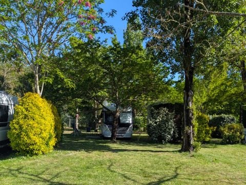 Camping Le Sous Bois - Camping Charente-Maritime - Image N°9