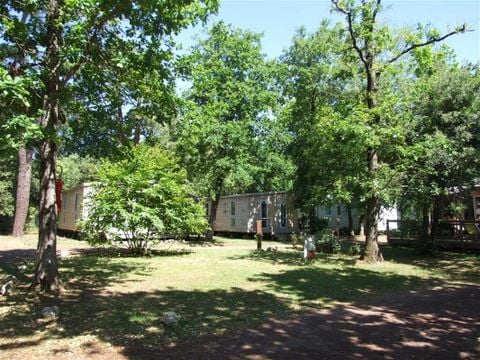 Camping Le Sous Bois - Camping Charente-Maritime - Image N°3