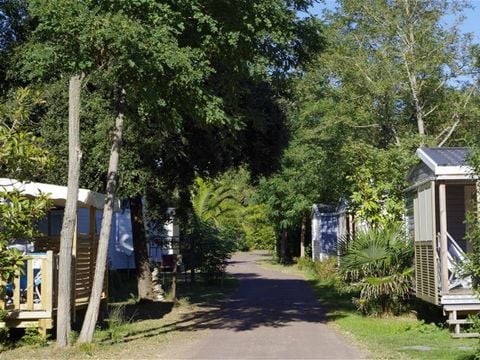 Camping Le Sous Bois - Camping Charente-Maritime - Image N°5