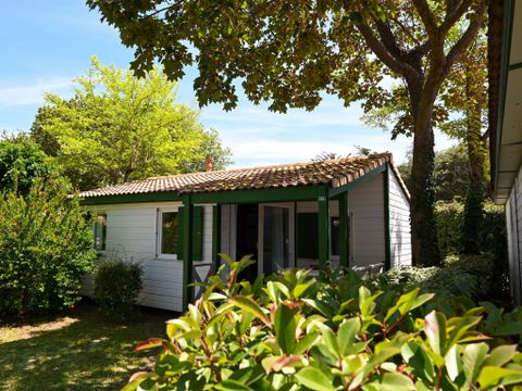 CHALET 5 personnes - MATTHIOLE