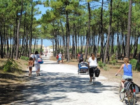 Camping Les Gros Joncs - Camping Charente-Maritime - Image N°27
