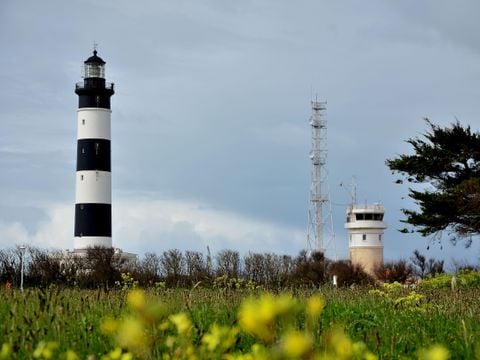 Camping Les Sables Vignier Plage - Camping Charente-Maritime - Image N°25