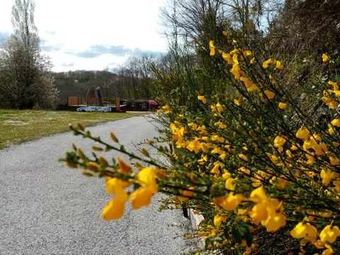 Camping La Perle - Camping Creuse - Image N°17