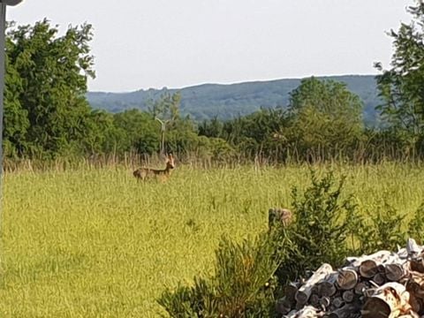 Camping La Perle - Camping Creuse