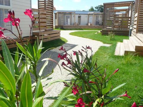 Camping Les Beaupins - Camping Charente-Maritime - Image N°13