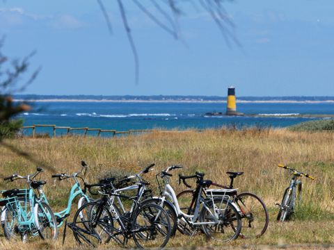 Camping Les Beaupins - Camping Charente-Maritime - Image N°7