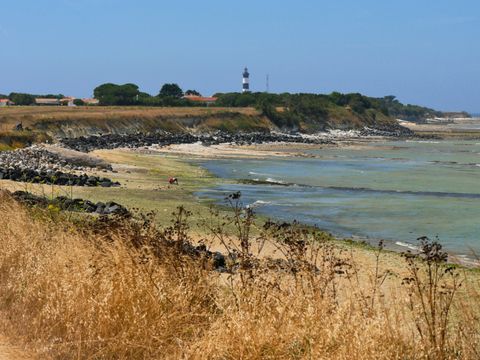 Camping Les Beaupins - Camping Charente-Maritime - Image N°18