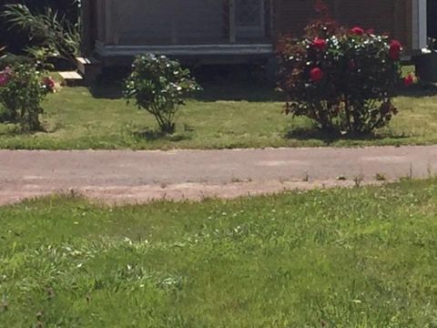 MOBILHOME 6 personnes - Super Soléo