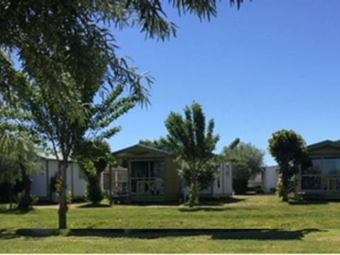 CHALET 5 personnes - chalet GITOTEL