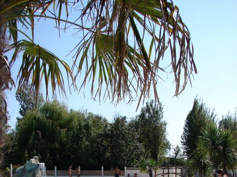 Camping Le Phare Ouest - Camping Charente-Maritime - Image N°26