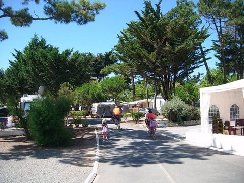 Camping Antioche - Camping Charente-Maritime - Image N°23