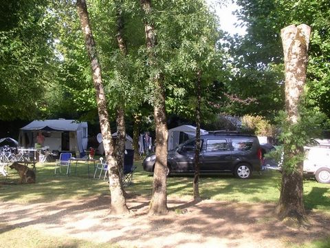 CAMPING LE MARTIN PECHEUR - Camping Deux-Sevres - Image N°3
