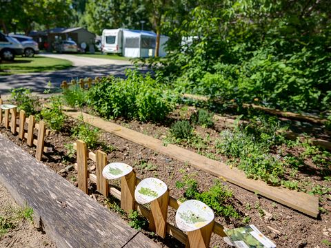 Camping la Venise Verte - Camping Deux-Sèvres - Image N°21