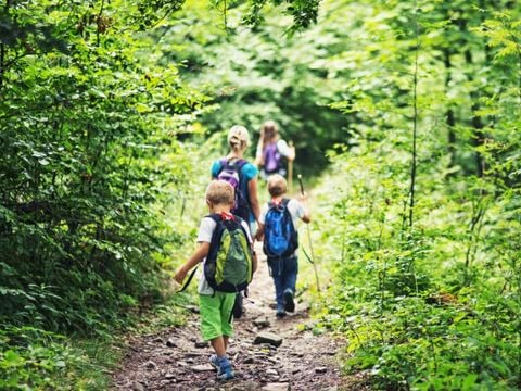 Camping la Venise Verte - Camping Deux-Sèvres - Image N°18