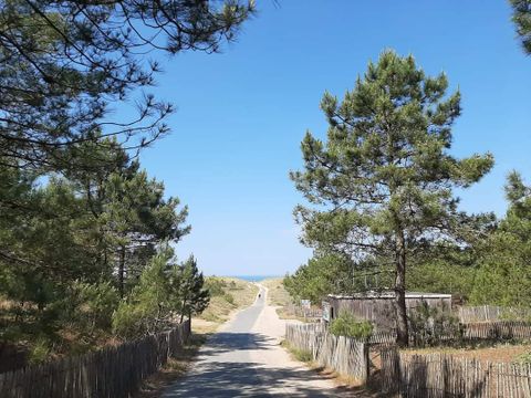 Flower Camping Le Pre Des Sables Flower Camping Le Pre Des Sables - Camping Vendée - Image N°66