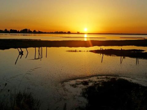 Flower Camping Le Pre Des Sables Flower Camping Le Pre Des Sables - Camping Vendée - Image N°87
