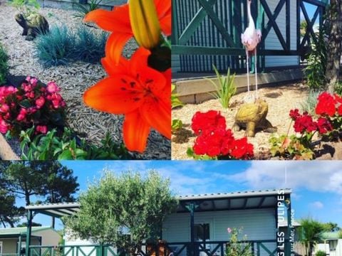 CHALET 2 personnes - Chalet mitoyen 16m² - 1 chambre + terrasse couverte 8m² 2 pers