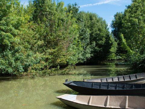 Camping La Grière - Camping Vendée - Image N°9
