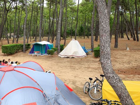 Camping La Grière - Camping Vendée - Image N°3