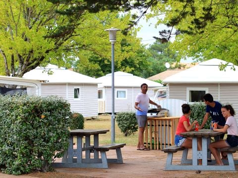 Camping La Grière - Camping Vendée - Image N°11