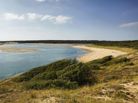 Flower Camping Le Petit Paris - Camping Vendée - Image N°42