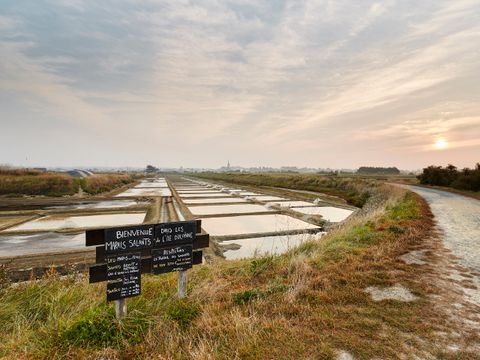 Flower Camping Le Petit Paris - Camping Vendée - Image N°61