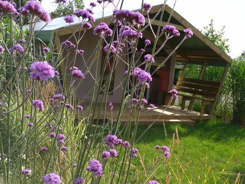 BUNGALOW TOILÉ 5 personnes - Lodge Confort Freeflower