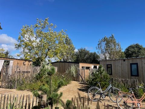 Flower Camping Le Petit Paris - Camping Vendée - Image N°23