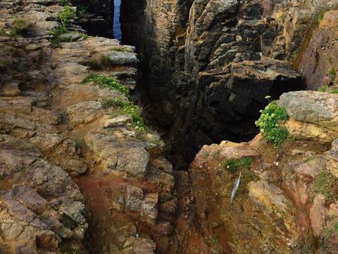 Flower Camping Le Petit Paris - Camping Vendée - Image N°38