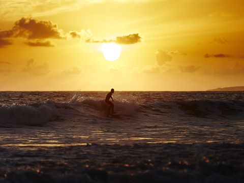 Flower Camping Le Petit Paris - Camping Vendée - Image N°63