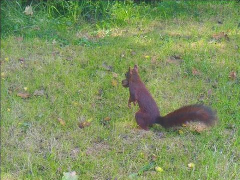 Camping Le Val Vert en Berry - Camping Indre - Image N°10