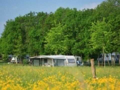 Camping de Tournus - Camping Saone-et-Loire - Image N°3