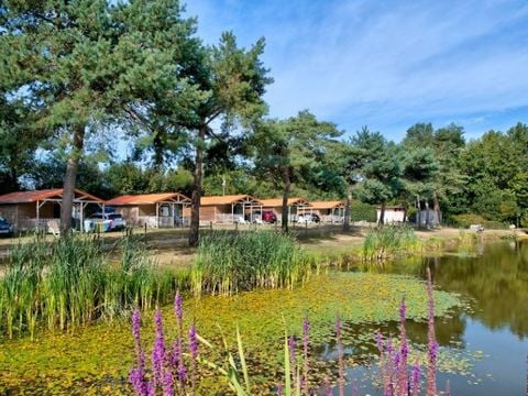 CHALET 5 personnes - CHALET DU LAC (EDEN)