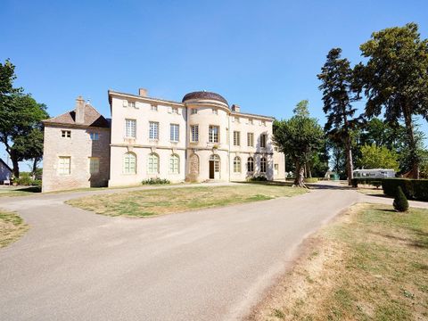 Camping Domaine du Château de l'Epervière  - Camping Saone-et-Loire - Image N°53
