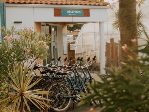 Le Bahamas Beach - Camping Vendée - Image N°15