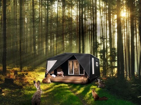 TENTE TOILE ET BOIS 4 personnes - Coco sweet salle d'ô