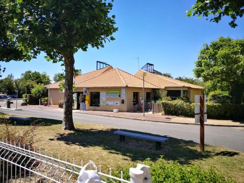 Camping du Lac de Saint-Cyr - Camping Vienne - Image N°2