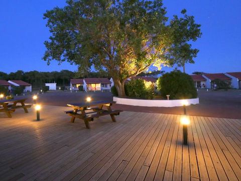 Camping La Grande Dune - Camping Vendée - Image N°8