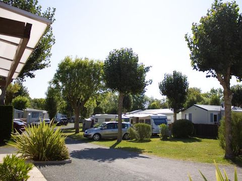Camping La Ningle - Camping Vendée - Image N°30