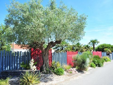 Camping Les Ecureuils - Camping Vendée - Image N°52