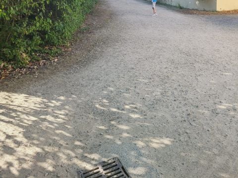 Camping Le trèfle à 4 Feuilles - Camping Vendée - Afbeelding N°3