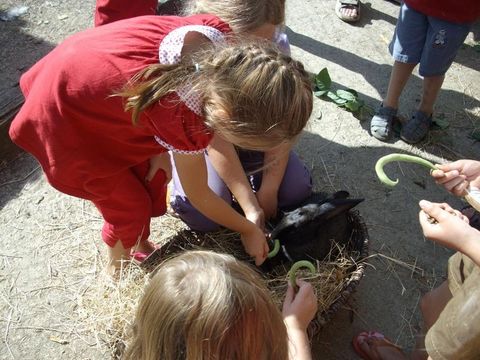 Camping Le trèfle à 4 Feuilles - Camping Vendée - Image N°11