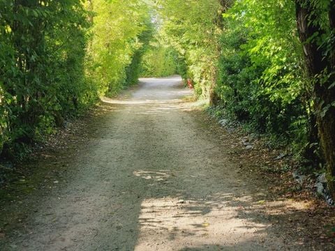 Camping Le trèfle à 4 Feuilles - Camping Vendée - Afbeelding N°2