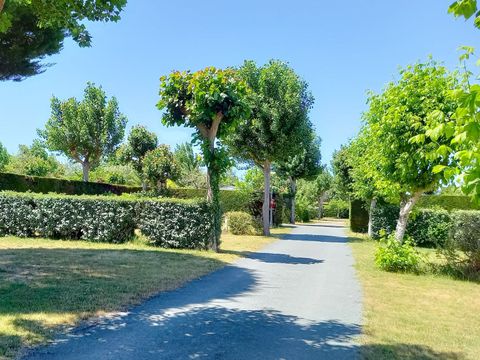 Camping La Buzelière - Camping Vendée - Image N°5