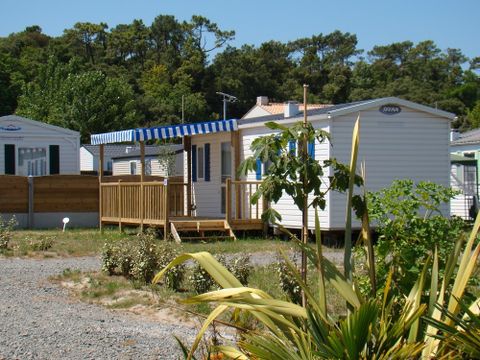 Camping Le Fief - Camping Vendée - Image N°2
