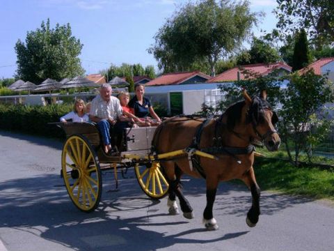 Camping Aux Coeurs Vendeens Camping Aux Coeurs Vendeens - Camping Vendée - Image N°13