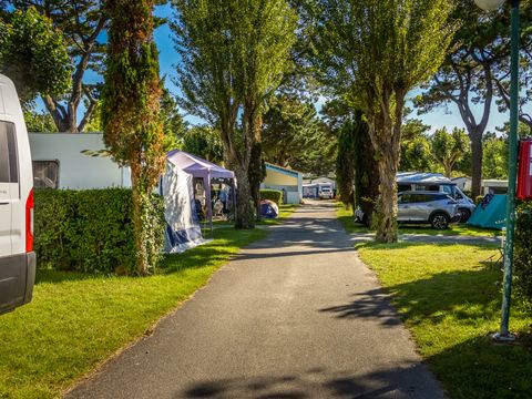 Camping Aux Coeurs Vendeens Camping Aux Coeurs Vendeens - Camping Vendée - Image N°62