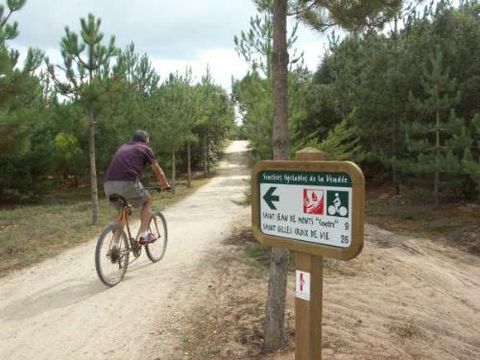 Camping Aux Coeurs Vendeens Camping Aux Coeurs Vendeens - Camping Vendée - Image N°44