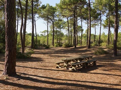 Camping Aux Coeurs Vendeens Camping Aux Coeurs Vendeens - Camping Vendée - Image N°18