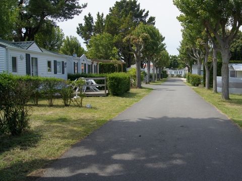 Camping Aux Coeurs Vendeens Camping Aux Coeurs Vendeens - Camping Vendée - Image N°53